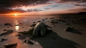 Как вымирали Динозавры и другие Доисторические Животные