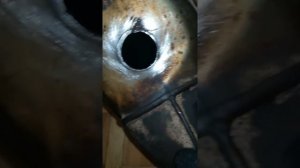 Рено Меган Сценик 2 1.9 Dci Непонятный звук,скрип,скрежет, дребезжание при работе двигателя .