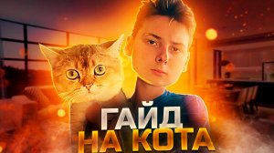 Гайт на кота