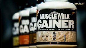 5 особенностей тренировок по утрам