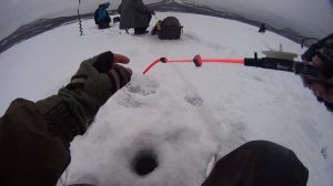 Камчатка  Зимняя рыбалка на озере Соленое.