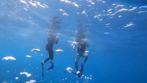 Exploring house reef @ Dusit Thani Maldives