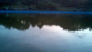 Ловля рыбы с помощью радиоуправляемого катера 2