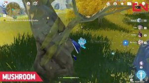 Genshin Impact PIZZA - Give it to Kamisato Ayaka | Where to Find the Recipe, Mushrooms