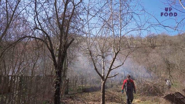 ДАЧА / ЧАСТЬ VI / РАСЧИСТКА ФАСАДА УЧАСТКА смотреть онлайн