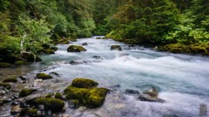 Рекой течет судьба моя  исп  автор Тимур Рахманов