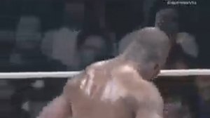 боб сапп против федор емельяненко