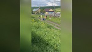 Московская Сторожевая и дети