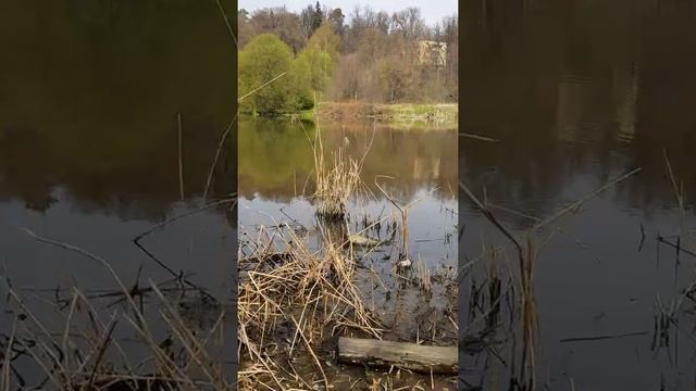 Рыбалка на реке Клязьма 02 Май 2018 смотреть онлайн