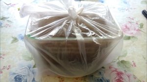 ПОСЕВ И ПИКИРОВКА  ЛАГЕНАРИИ ДЛЯ ДАЛЬНЕЙШЕЙ ПРИВИВКИ АРБУЗА