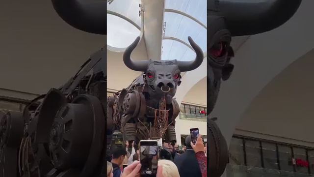 The grand unveiling of Ozzy the bull at Birmingham New Street Station