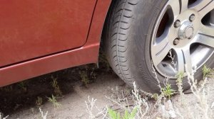 Premiorri Solazo летние шины Первые впечатления