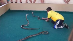 Змеиная ферма. Пхукет 2016г.