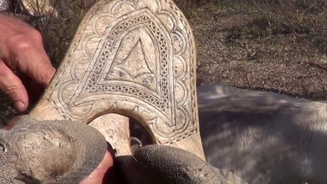 Как ездят на оленях. Эвенкийское седло нама. смотреть онлайн