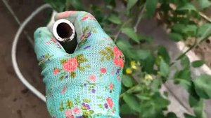 Поливайте томаты методом "СУХОГО" полива! И фитофтора не появится! Плюс сэкономим воду и свое время