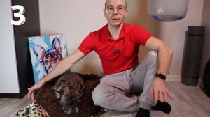5 Вещей для ЩЕНКА французского бульдога. Как подготовить квартиру