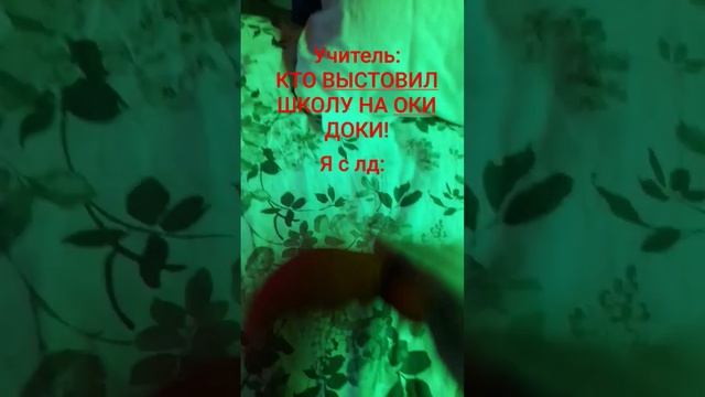 если что Оки доки это как авито только в Эстонии