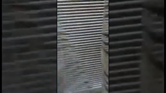 Квартира в Севастополе посуточно (Ефремова, 14). Фото и адрес проверены Broniruem24