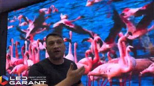 LED-экран 6х3 P2,5 для церковного зала