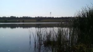 Покатушки Лодка Brig Динго 330 мотор " TOHATSU" 2х  такта  9,8  тестирование