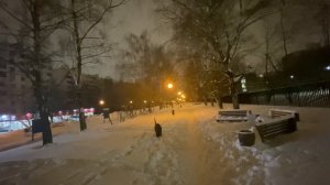 Интересные факты о породе Лабрадор #собаки #лабрадор #дрессировкасобаки