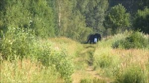 Мелкашка по Белому Медведю на 300 метров!!) ТОЗ-78