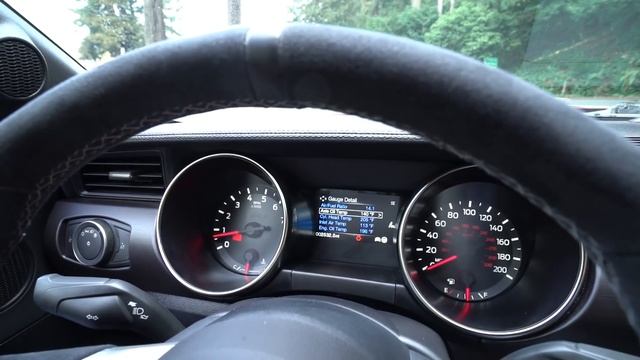 Reality Review: 526HP Shelby Mustang GT350 смотреть онлайн