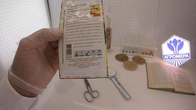 Бархатцы Махровые Гиганты. Семена Алтая смотреть онлайн