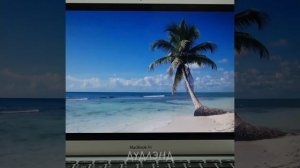 Эти безумные фрукты не перестают болтать – Дудлэнд