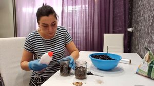 Клематис. Клематис из семян. Посадка семян клематиса 1 ч.
