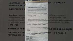График подкормки саженцев роз, питомник роз Полины Козловой,  rozarium.biz