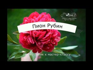 Мастер-класс Пион рубин (промо ролик)