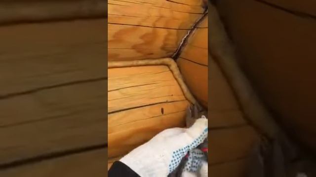 Конопатка швов деревянного дома через 3 года смотреть онлайн