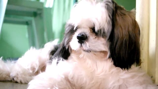 Copy of Samsung Camera NX1000 Video Test смотреть онлайн