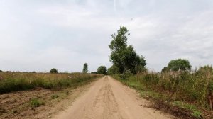 Самая красивая автодорога Рамешковского района