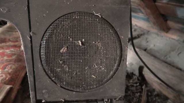 "Зверский" интернет в Чебоксарах смотреть онлайн