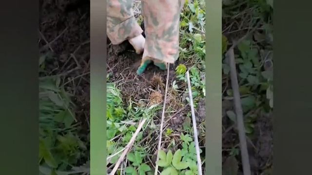 КОП РЯДОМ С ЖЕЛЕЗНОЙ ДОРОГОЙ С МЕТАЛЛОИСКАТЕЛЕМ MD4030 смотреть онлайн