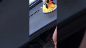 Подсветка ног (ваз 2114-2115)