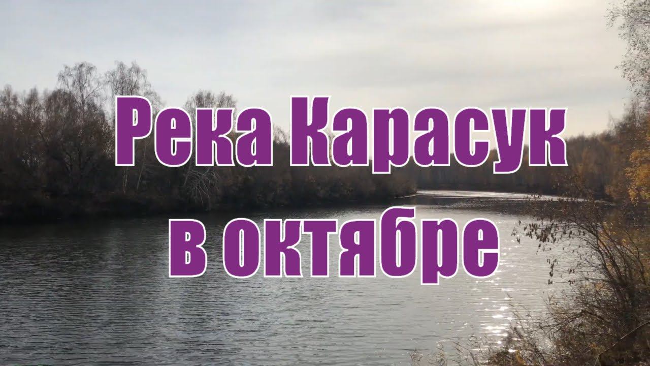 Золотая осень. Река Карасук. Краснозерский район. Природа Новосибирской области.