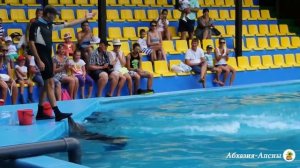 Дельфинарий в Пицунде