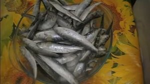 КИЛЬКА ДОМАШНЕГО ПРЯНОГО ПОСОЛА. Всегда вкусная килька слабосолёная.