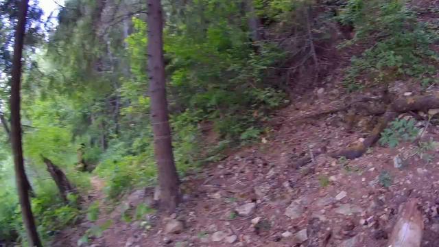 Охота за раненным лещом. Fairy forest. Or hunting for a wounded bream. смотреть онлайн