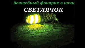 Ночная охота на светлячка. Волшебный фонарик