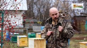 Инновационная рамка правда или вымысел. Новая рамка для пчел