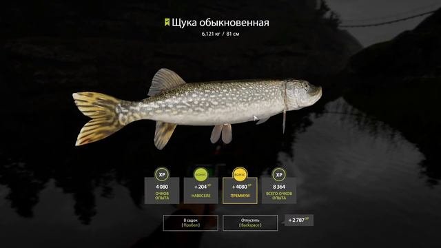 Сталь или Флюр поводок? СРАВНЕНИЕ | ФАРМ Щука | оз. Ладожское | Русская Рыбалка 4