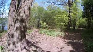 ст. Купавна - Бисерово озеро - Бисерово