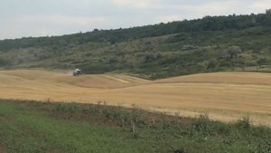 Посев горчицы озимой. Уборка. Часть 2