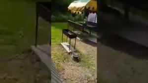 Таежные дали база отдыха с.семеновка третиковский район  алтайский край