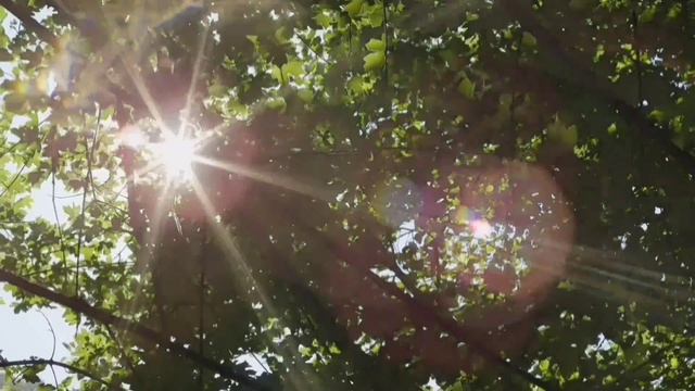 УРАЛО-ТАДЖИКСКАЯ ПАРА УТОМИЛАСЬ НА ДАЧЕ. ОЛЬГА УРАЛОЧКА LIVE. смотреть онлайн