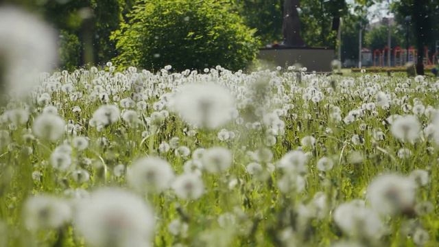Limpieza Emocional Y Espiritual | Flauta Curativa Tibetana | Liberación De Melatonina y Toxina смотреть онлайн